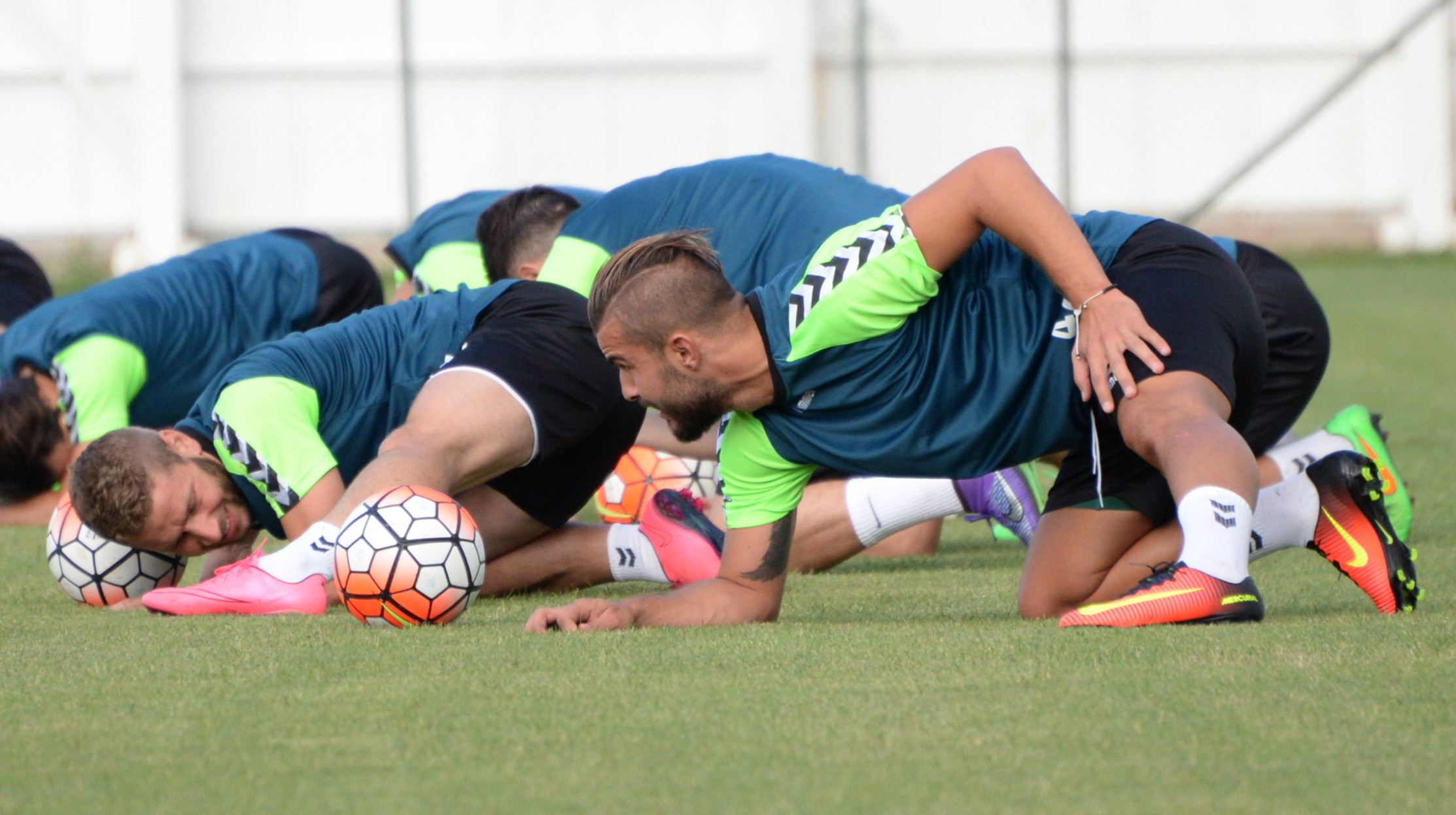 Kartal Avusturya’da