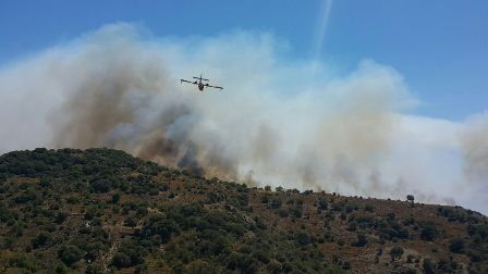 Bodrum'da makilik alan yangını