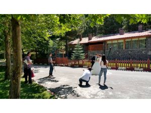 Seydişehir'deki kuğulu park doğal fotoğraf stüdyosu oldu