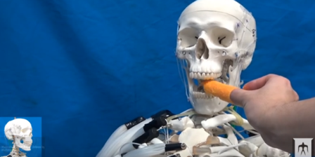 Mekanik kas sistemine sahip yapay zekalı robot