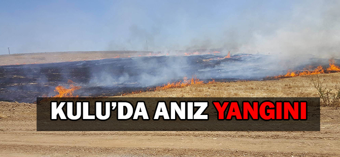 Kulu’da anız yangını