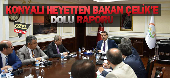 Konyalı heyetten Bakan Çelik'e 'dolu' dosya