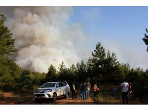 Kütahya'daki orman yangını