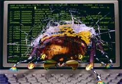 24 Kasım en büyük SALDIRI günü