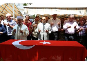 FETÖ'nün darbe girişimine tepkiler