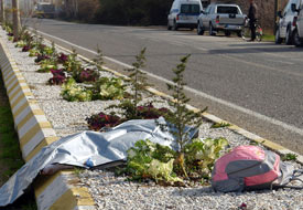12 yaşındaki çocuğu kamyon ezdi