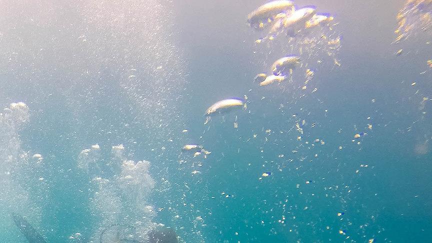 Okyanus altında çok miktarda hidrojen gaz rezervi