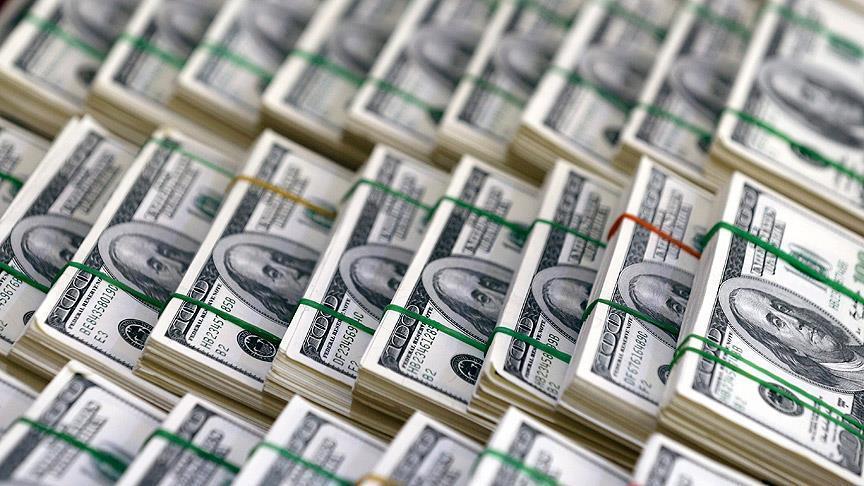 Merkez Bankası brüt döviz rezervleri 14,5 ayın zirvesinde