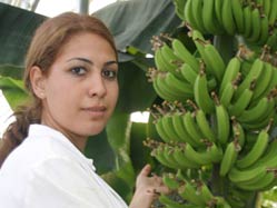 Çumra'da muz yetişir mi?