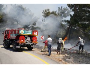 Manisa ve İzmir'de orman yangınları