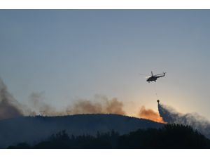Balıkesir'de orman yangını