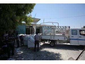 Türkiye'den Gazze'ye gönderilen insani yardım
