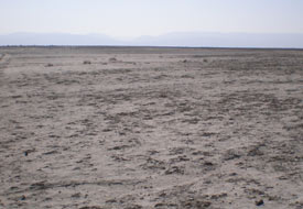 Akgöl Sazlıkları'ndan eser kalmadı