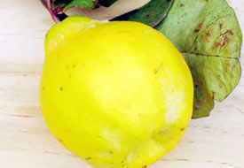 "AYVA'yı yemeniz" için 12 sebep!