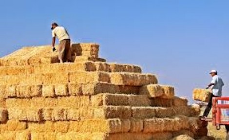 Darbecileri dumana boğdu, tazminatı reddetti