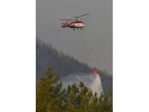 İzmir'deki orman yangını