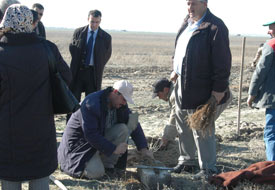 Emirgazi'de fidan dikim paraları ödendi