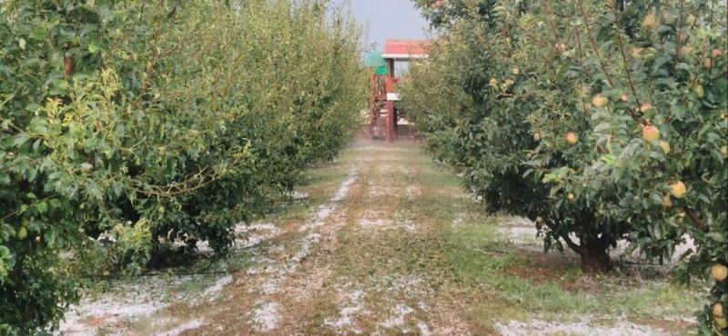 Beyşehir’de Dolu Yağışı