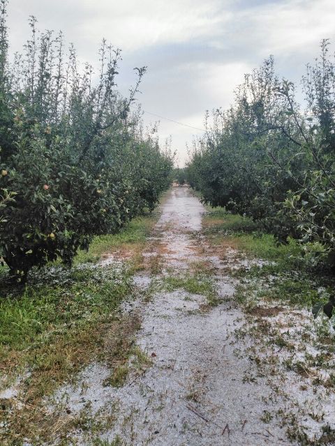 Beyşehir'de dolu yağışı