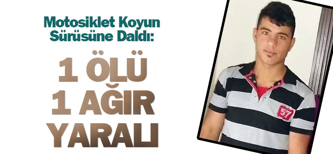 Motosiklet Koyun Sürüsüne Daldı: 1 Ölü, 1 Yaralı