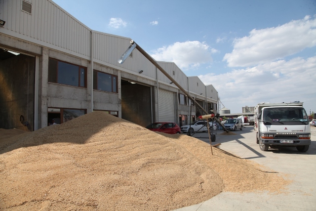 Hububat borsasında alımlar devam ediyor