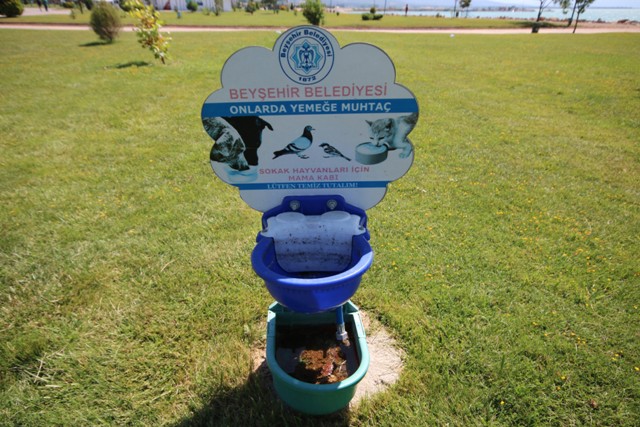 Beyşehir’de sokak hayvanları için kap