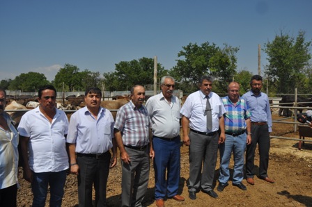 Konya’da kurbanlık sıkıntısı yok