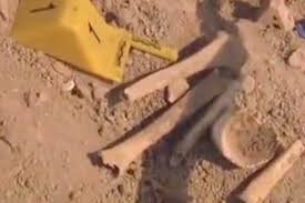 Apartmanın Bodrumundan Kemik Parçaları Çıktı