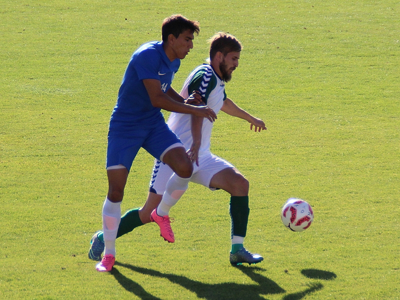 Anadolu'dan tatsız prova