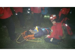 Gümüşhane'de Biyolojik Çeşitlilik Envanter ve İzleme Projesi