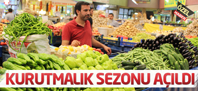 Kurutmalık sezonu açıldı