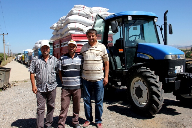 Seydişehir'de haşhaş kapsül alımları başladı