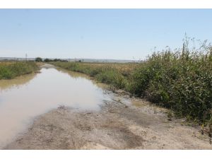 Tarımsal sulamada su israfı uyarısı