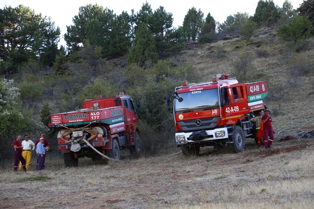 Konya'da orman yangını