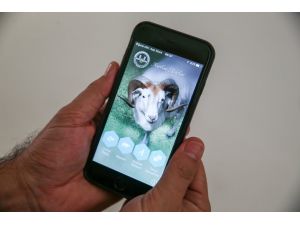 Diyanet'ten "mobil kurban rehberi" hizmeti