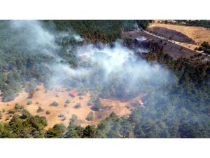 Çanakkale'de orman yangını