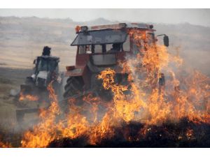 Çekmegöl sazlıkları yandı