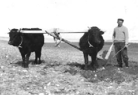 Tek parti döneminde yaşadıklarımız