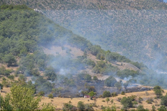 Seydişehir’de orman yangını