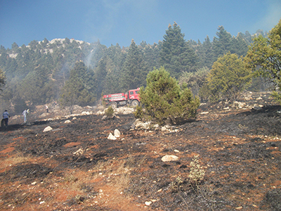 Beyşehir’deki orman yangını söndürüldü
