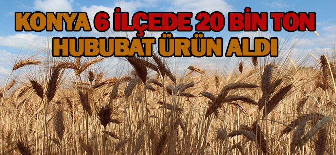 Konya 20 bin ton hububat ürün aldı