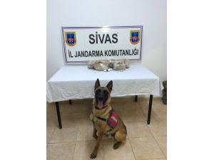 Sivas'ta uyuşturucu operasyonu