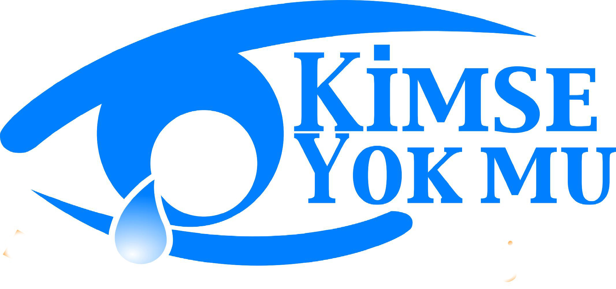 Kimse Yok Mu Derneği'nden FETÖ'nün anket soruları çıktı