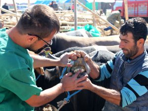 Selçuklu'da kurban satış  ve kesim yerleri