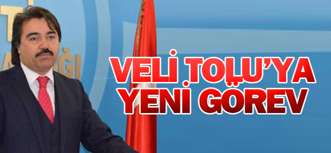 Veli Tolu'ya yeni görev