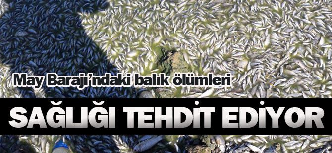 Balık ölümleri hem düşündürüyor hem sağlığı tehdit ediyor