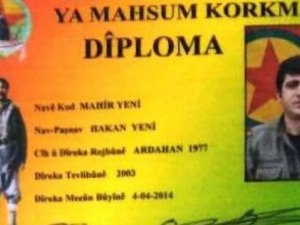 Terör örgütü PKK'nın "Tendürek sorumlusu" öldürüldü