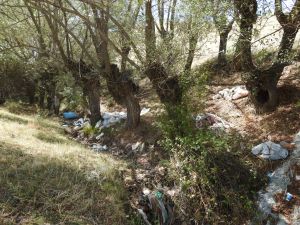 Çubuk'ta doğayı korumak için dernek kuruldu