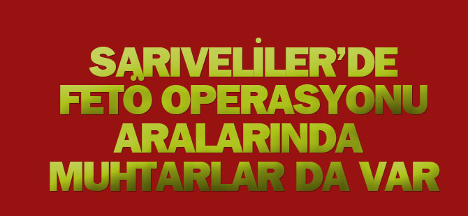 Sarıveliler'de FETÖ operasyonu: 20 gözaltı