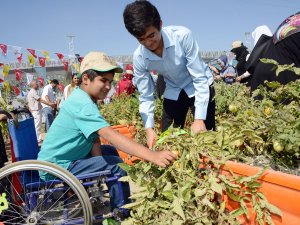 Özel öğrenciler hasat şenliğinde buluştu